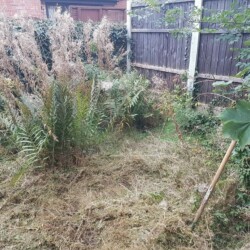 Landscape job before